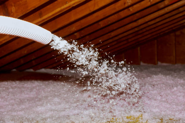 Best Energy Efficiency Solutions in Lehigh Acres, FL