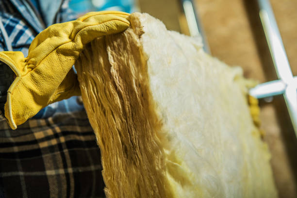 Best Residential Insulation in Lehigh Acres, FL