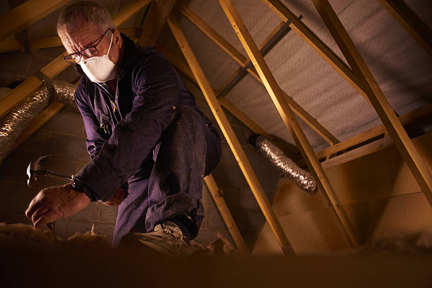 Best Insulation Materials and Products in Lehigh Acres, FL